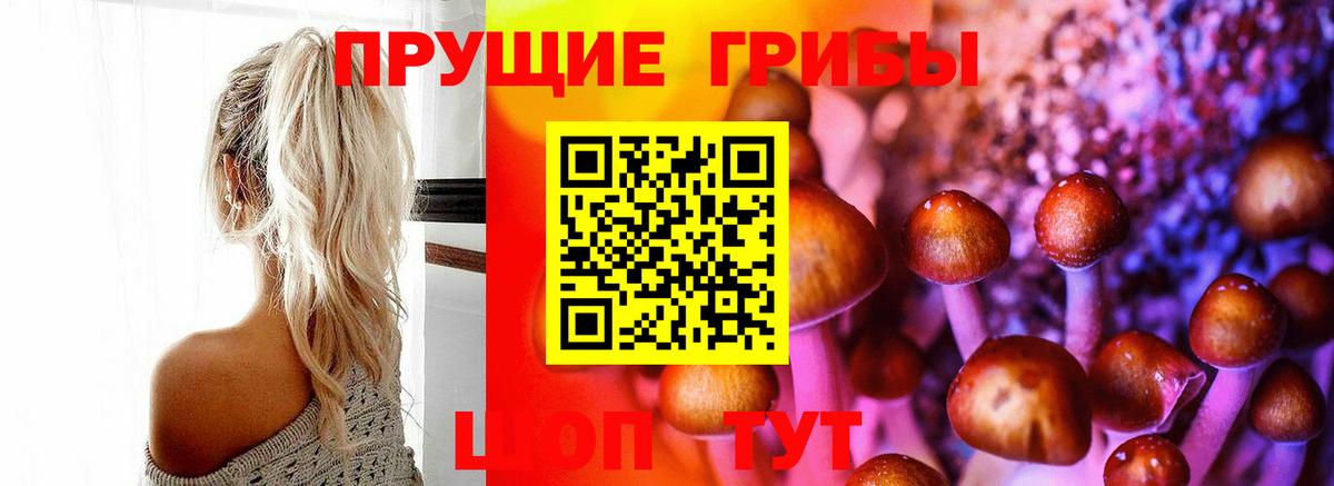 Галлюциногенные грибы мухоморы  Вход с VPN  Обь 