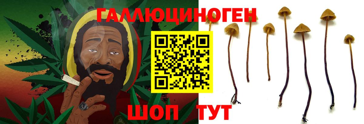 Псилоцибиновые грибы Magic Shrooms Обь